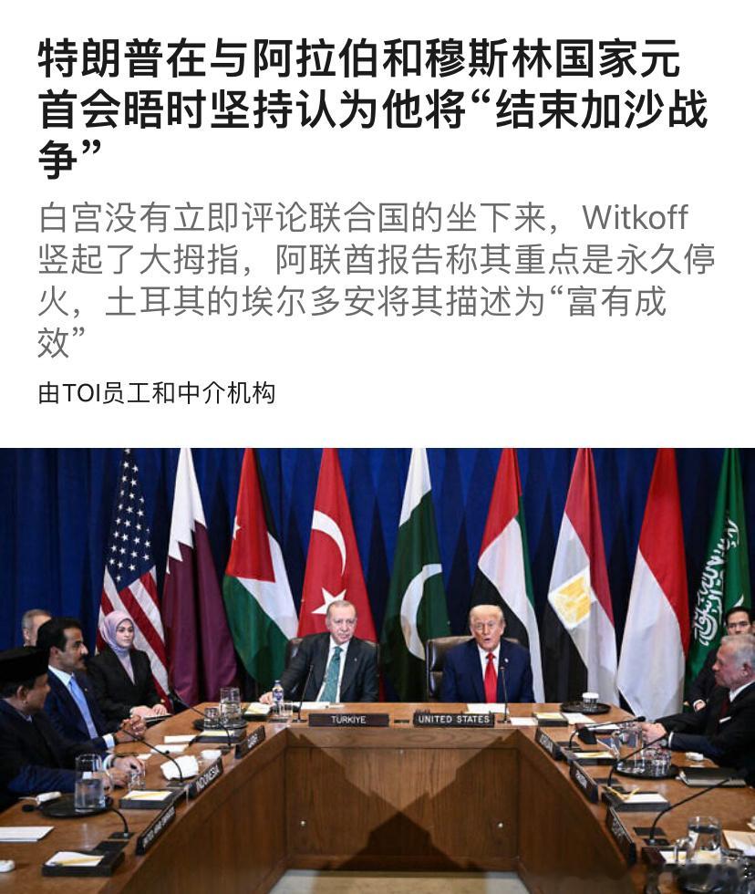 ‼️如何结束战争沙特、阿联酋、卡塔尔、埃及、约旦、土耳其、印尼和巴基斯坦的领导人