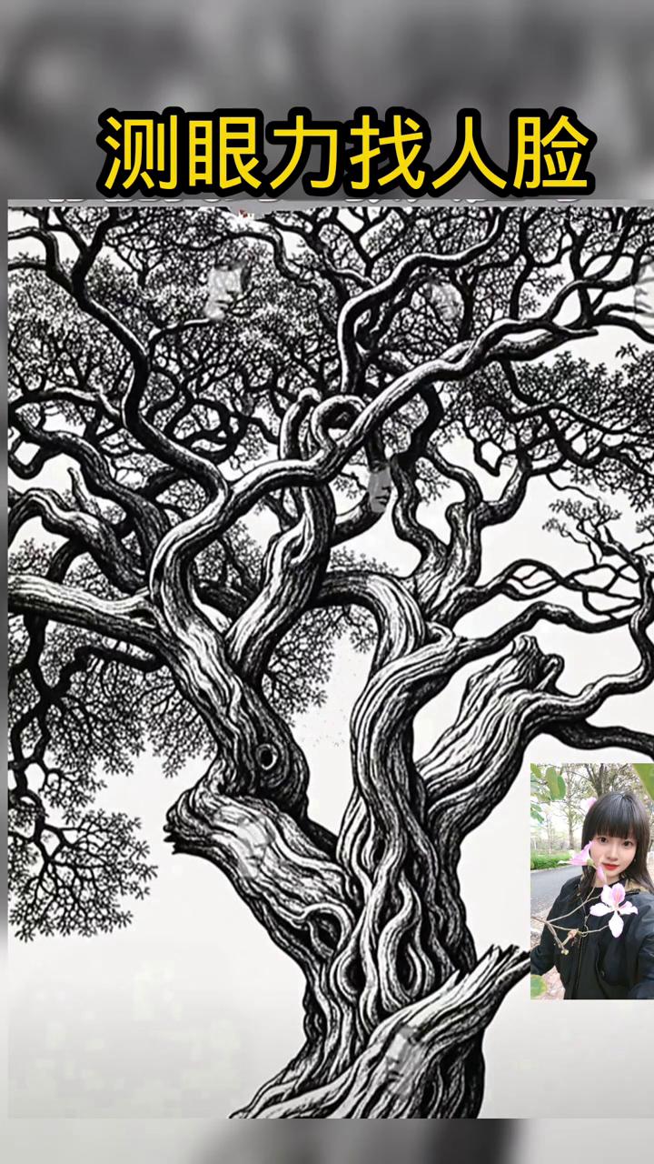 测眼力找人脸。能找到里面的五张人脸吗？好难，我没有找到。