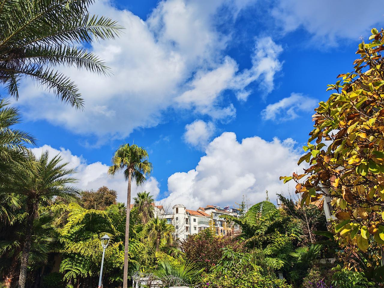 现在娘子情吃着不错，江家气弟的一般般！不过，我喜欢吃牛菜饭馆的红烧牛肉