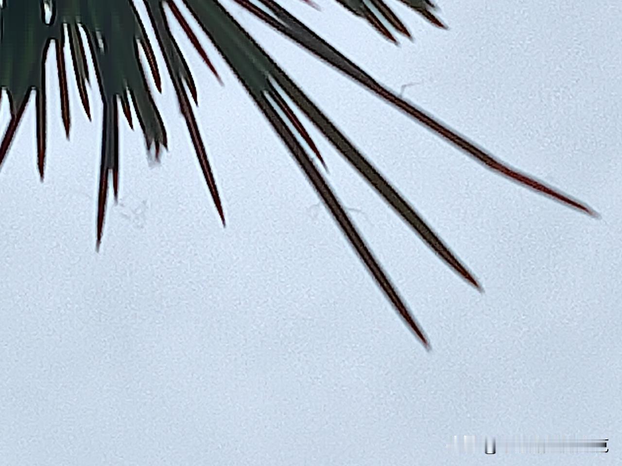 又是崭新的一天一天好心情