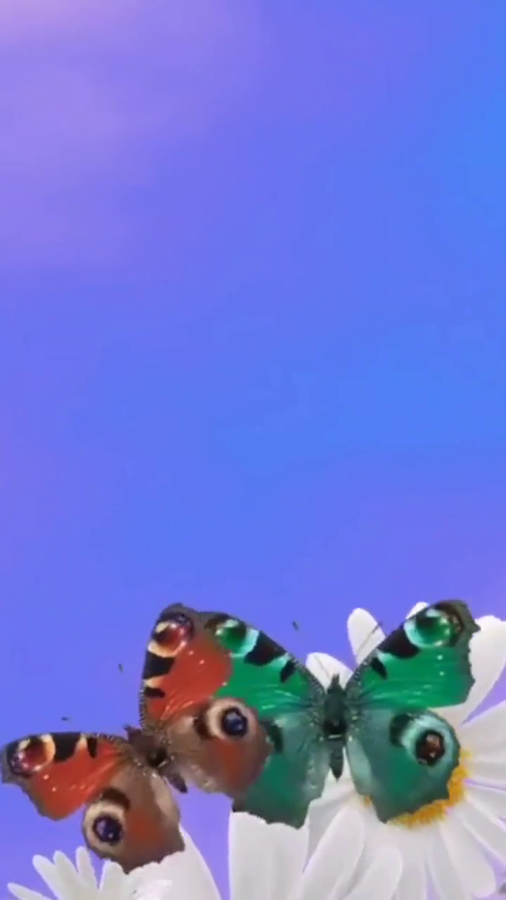 夫妻关系好，十条秘诀要记牢