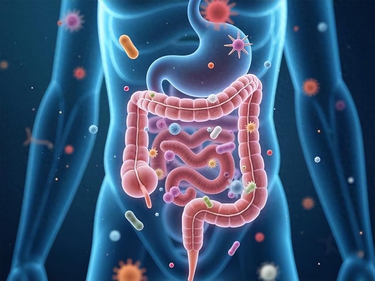 便秘不是火太旺，是肠内气不足！一个中成药：增液+行气，肠道通、排便畅！大家