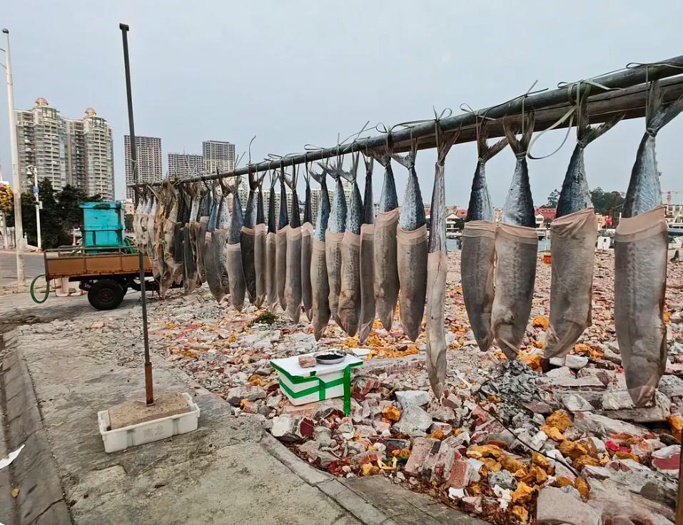 用丝袜去套这个咸鱼是什么概念？