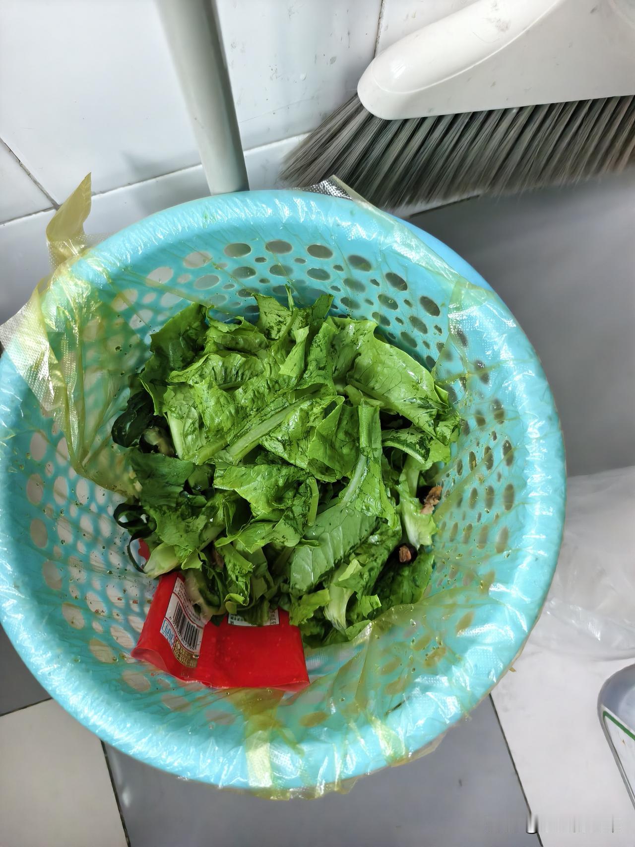 昨天买了一棵油麦菜，看着还不错。我习惯是洗蔬菜时，特别是叶子类的蔬菜，都要提