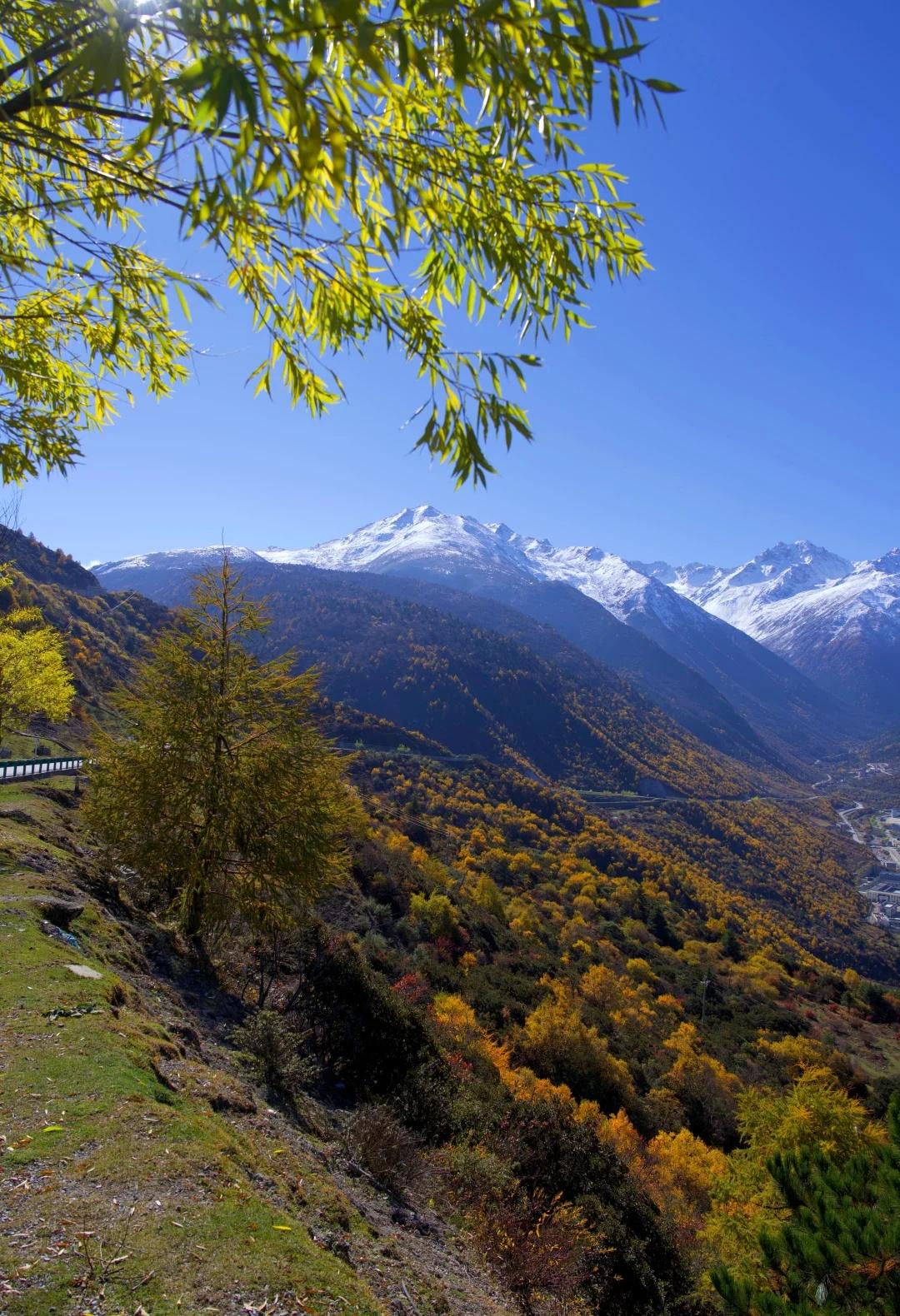 去毕棚沟堵什么，榆磨路足够封神有雪山有彩林的地方可不只理小路毕棚沟一个地方，为