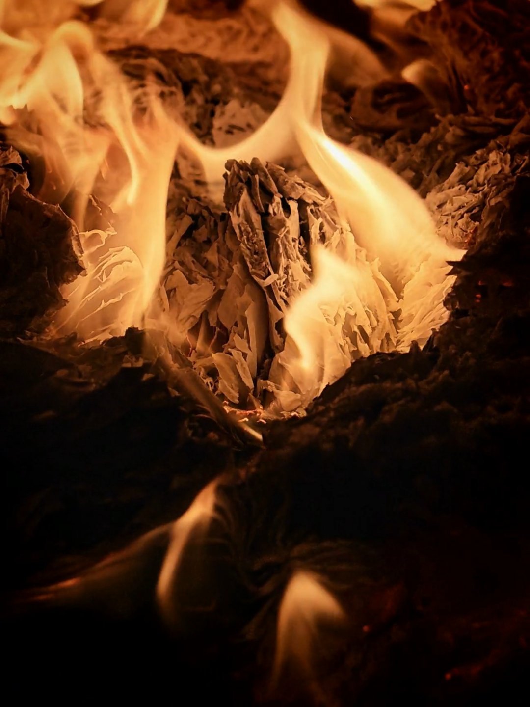 Magic8Pro相册里面实况照片的这个AI精彩慢放功能，啥时候上的来着，有点