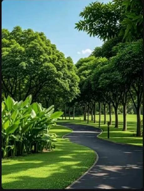 婚姻的核心，其实是一场看不见的双向价值互换。很多人以为自己嫁的是爱情，实际上是找