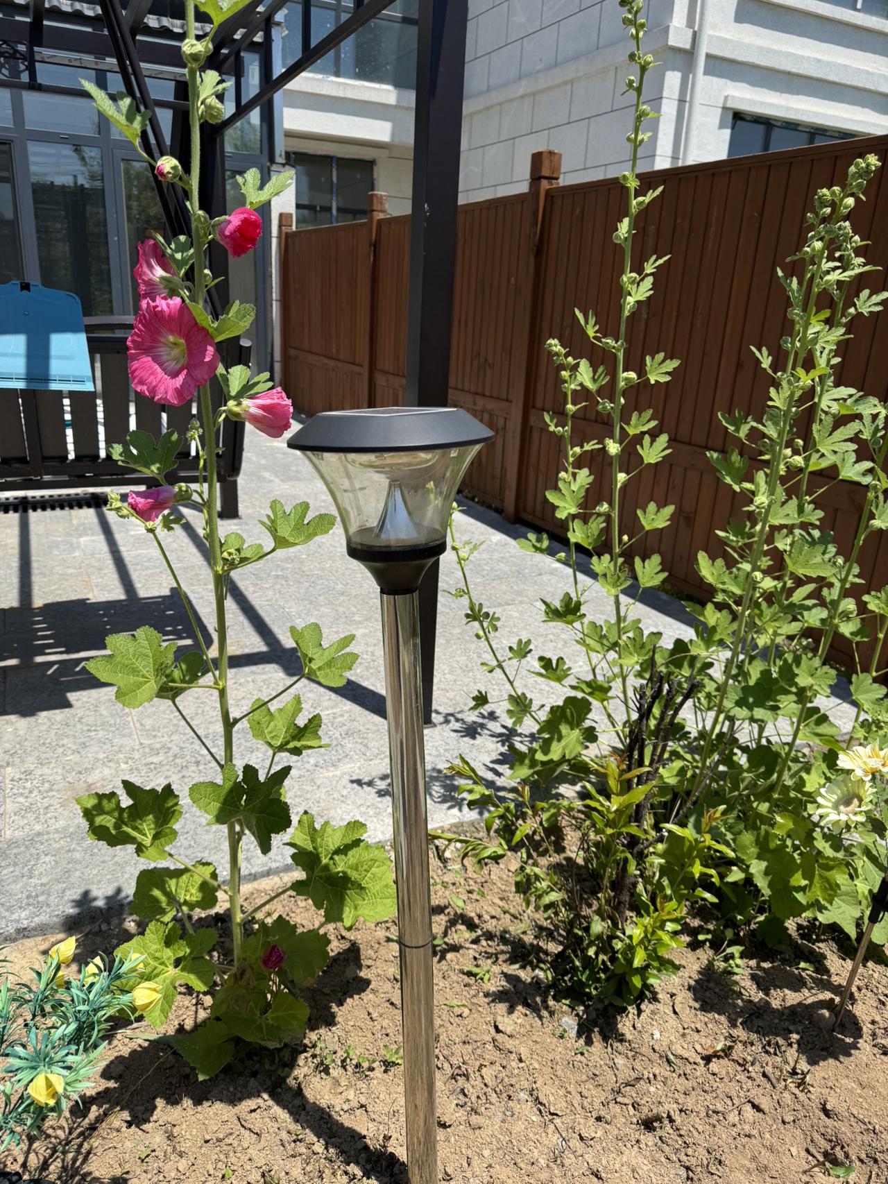今天继续种花。已经找好了两个人过来翻地施肥。又是充满希望的一天。我的今日状
