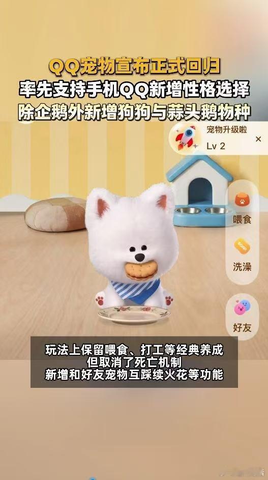 企鹅归来物是人非，当年一起砸蛋养宠、互赠宠物蛋的好友早已失联，全新QQ宠物上线，