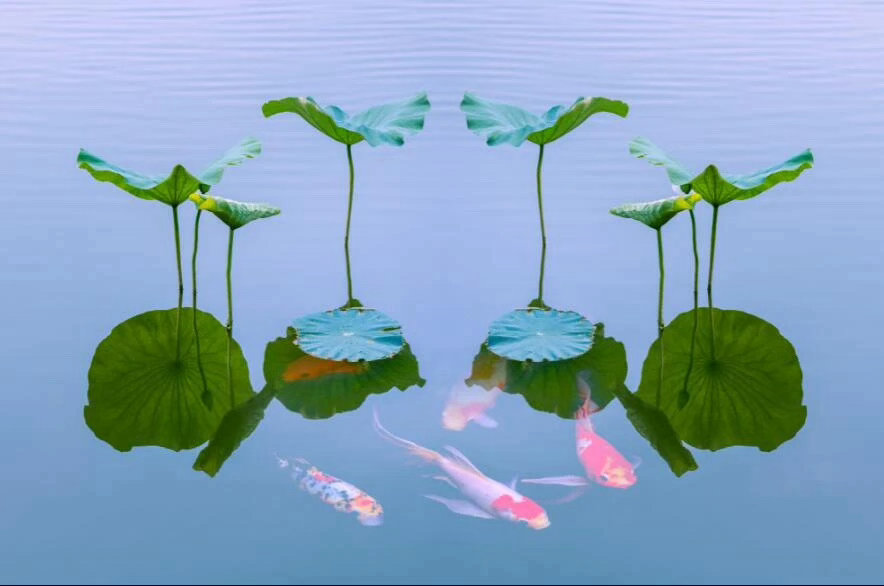 这个世界上没有一件事情的发生是偶然的，每一件事情都有它的因果，这是宇宙的根本定律