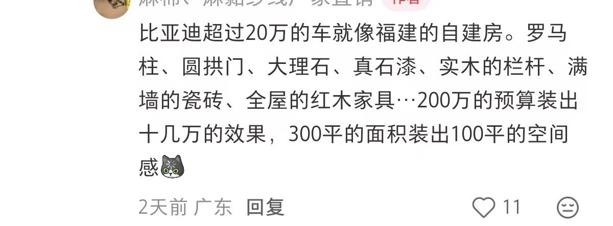 网友锐评比亚迪