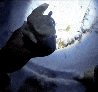 看哭了！河南一男子煮饺子时连掉两次，妻子一句“娃的奶奶想吃了”，瞬间戳中心底最软