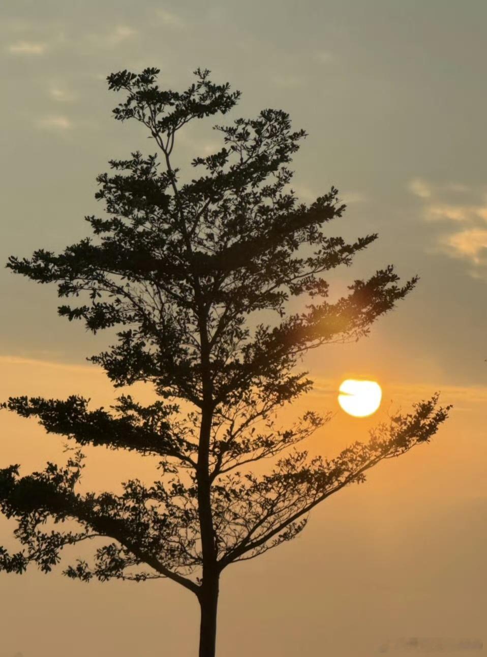 八字身弱的人相当于一个超高性能的手机，CPU算力极强，问题是持续性不久，电池容易