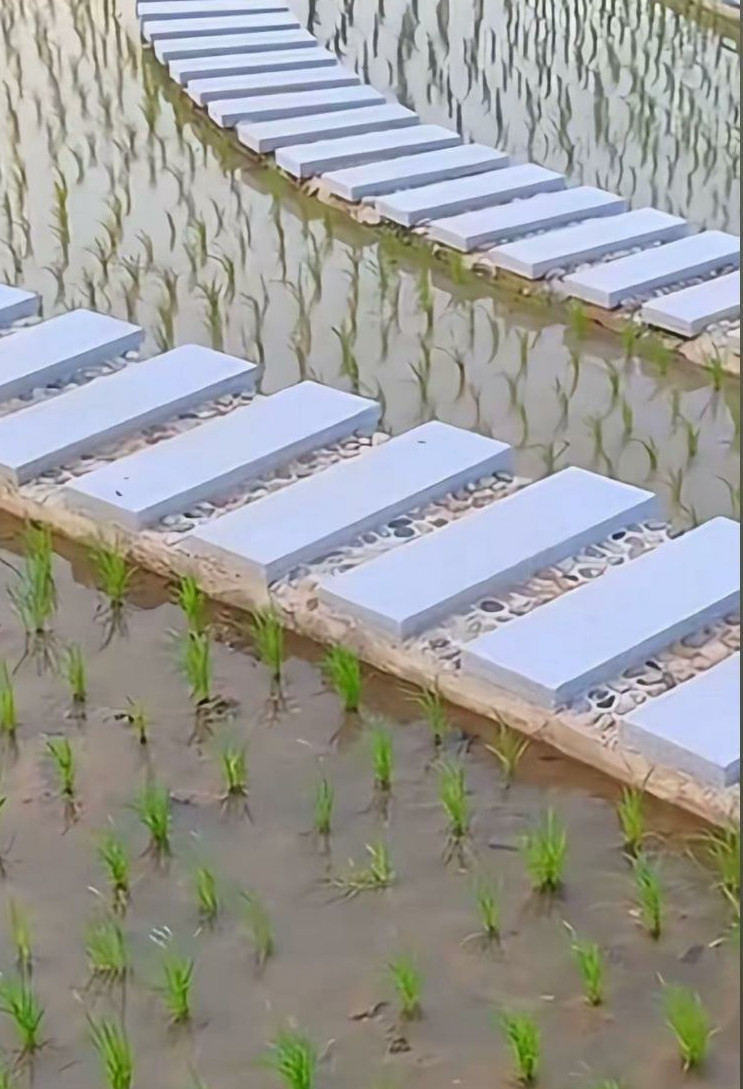 试验田里的路建的这么密啊