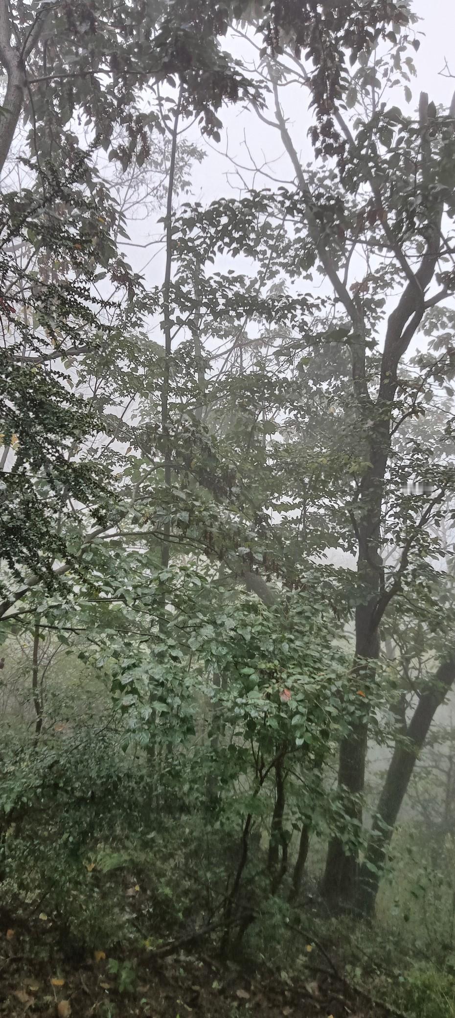 《恒书，二八事件里，他是最早扛起的“定盘星”》如果非要在许敏的追随者中找一个