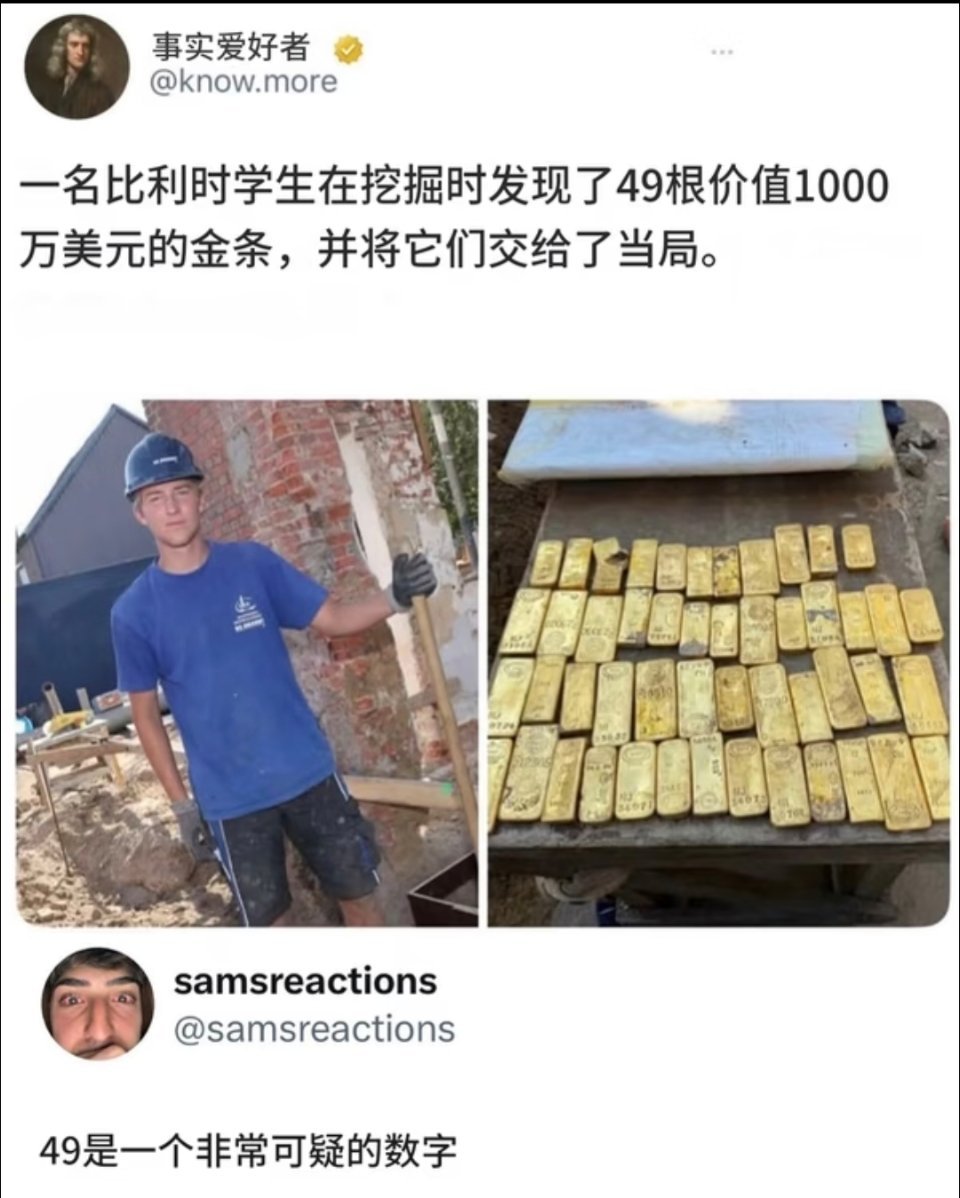 外国人人也讲究挖到的东西上交？？​​​