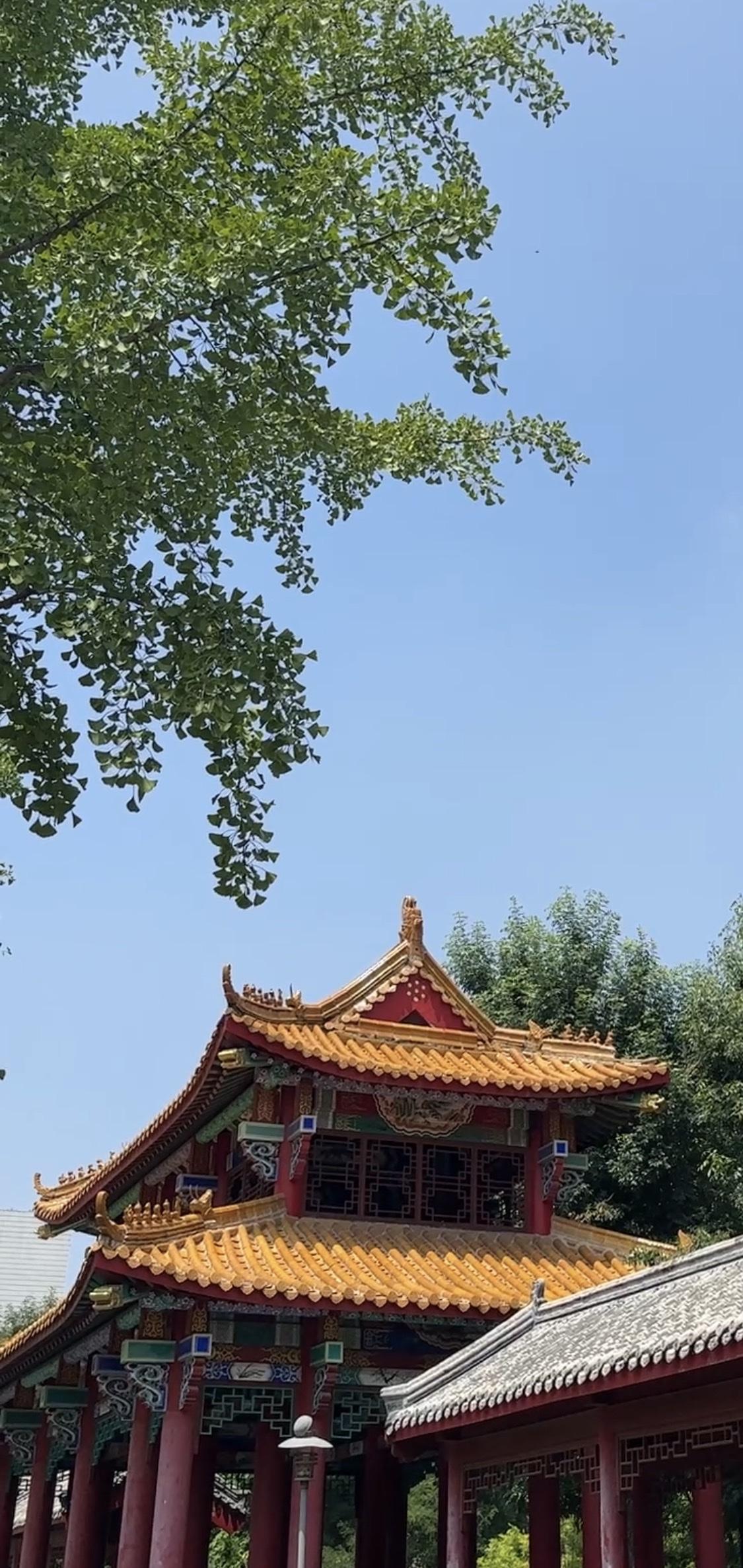 天津市滨海新区寨上花园廊亭随手拍。