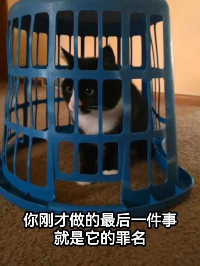 打游戏​​​