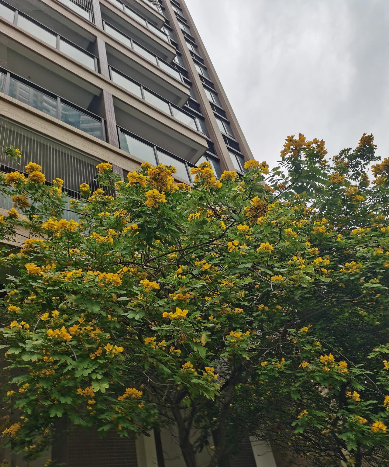 姐姐的儿媳妇意外怀上了第三胎，正愁着要不要生下来。第一胎是个女孩，6岁了，第二胎