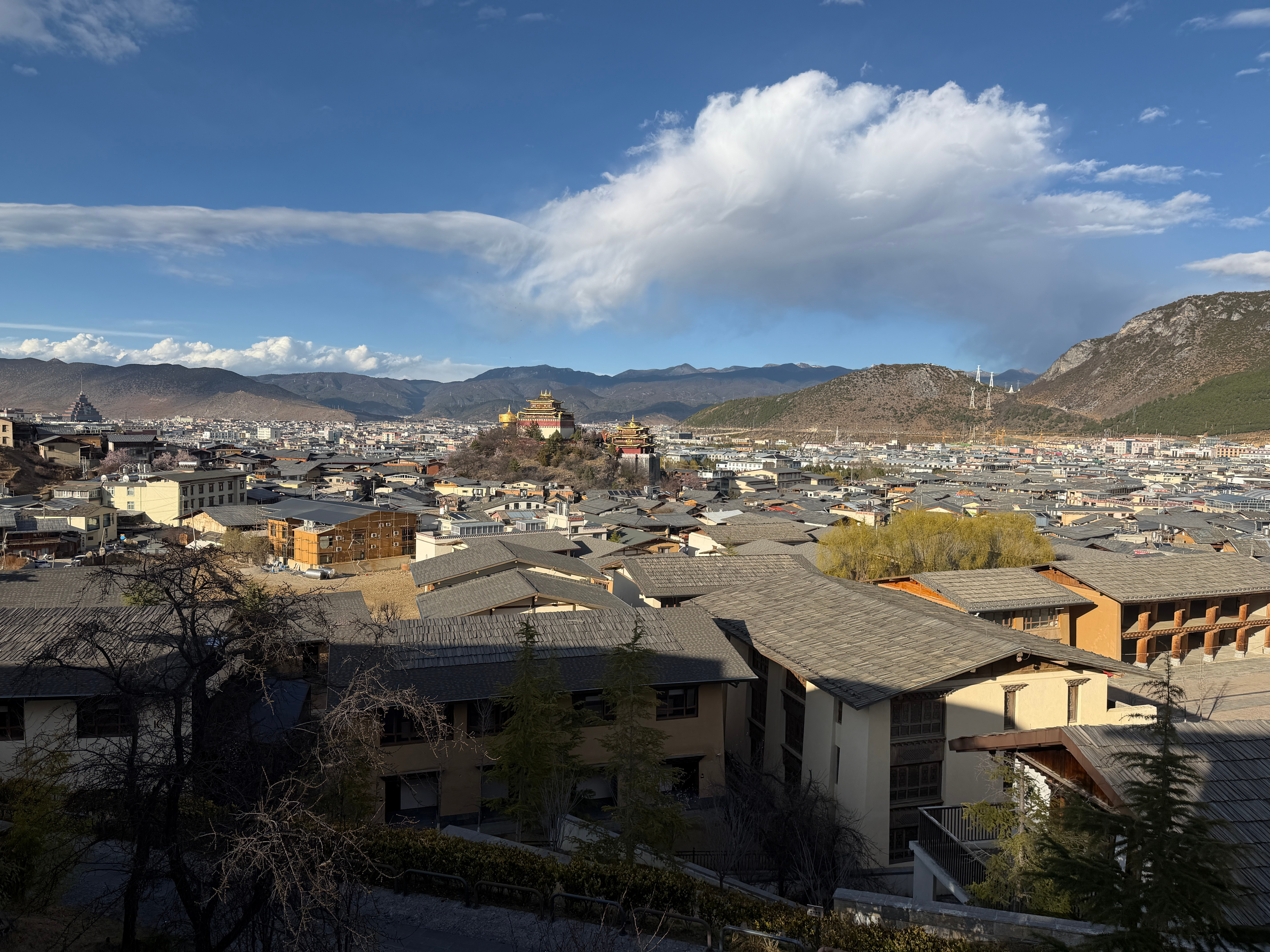 牛马向往草原却得不到草原！
