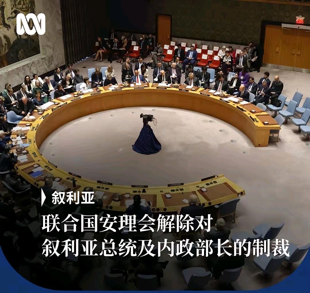 叙利亚总统沙拉终于可以舒一口气了！当地时间11月5日，联合国安理会通过决议，同