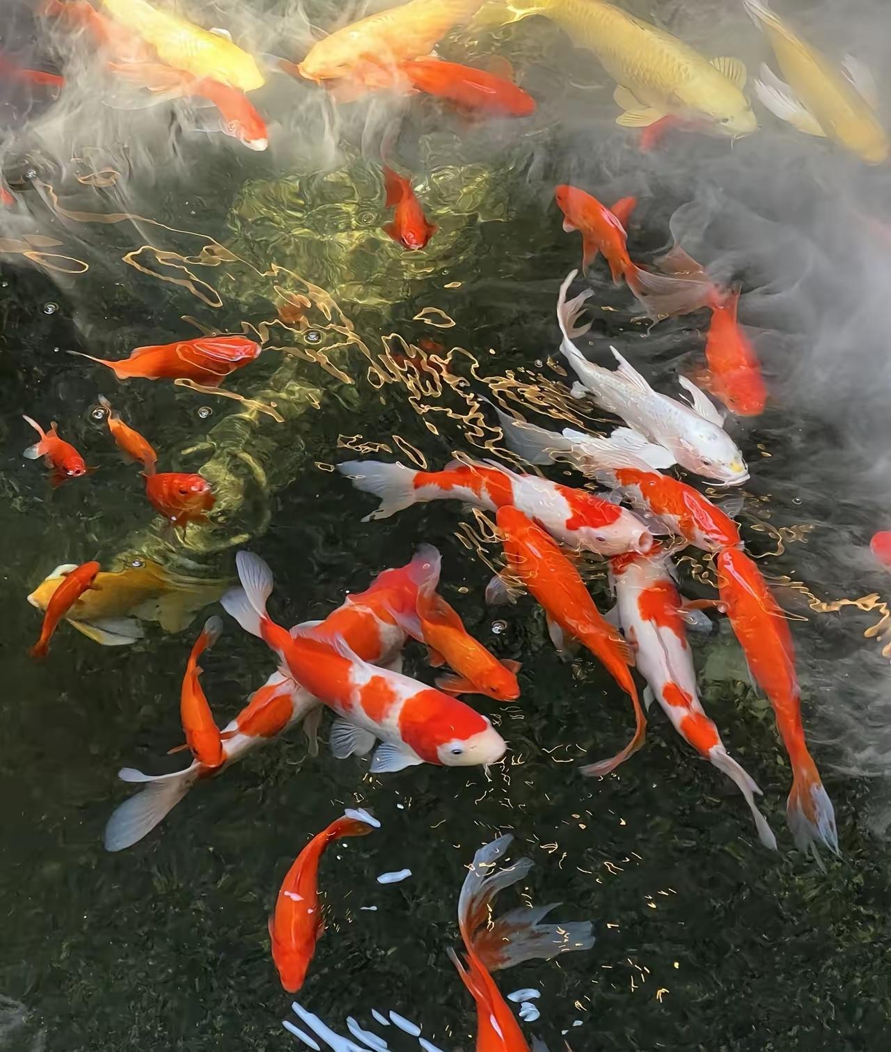 成年人的世界，哪有什么岁月静好，全是藏着人性真相的生存铁律！说你冷漠的，不