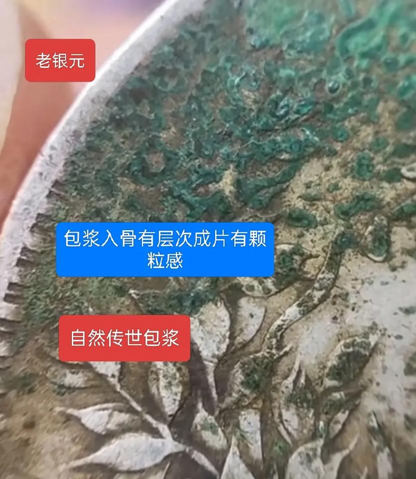 银元如何看包浆区分辨别真假新老，鉴定知识科普，真假对比。银元银元鉴定知识王乾