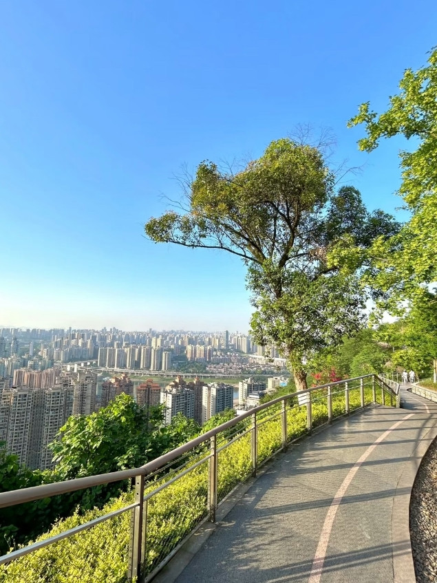 高温千万不要出门旅游了！