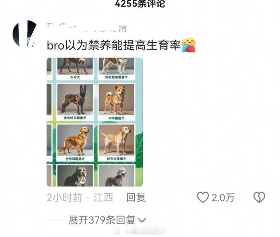 哈人，为什么会有两万个人误以为禁养能提高生育率，你们平时到底拿狗狗做什么了？😨