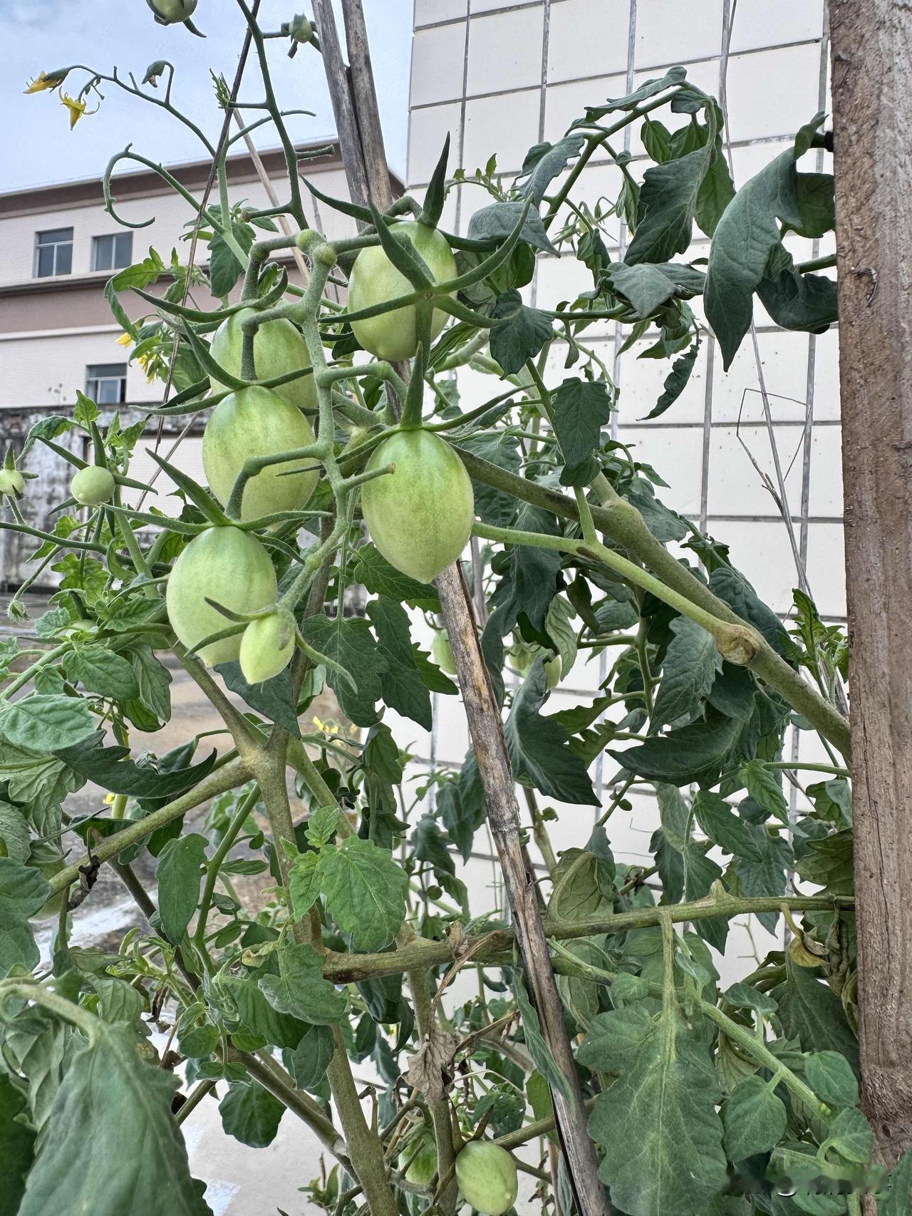 2026年3月的最后一天，在网上刷到这样一段话，真的醍醐灌顶。余华说：“有人