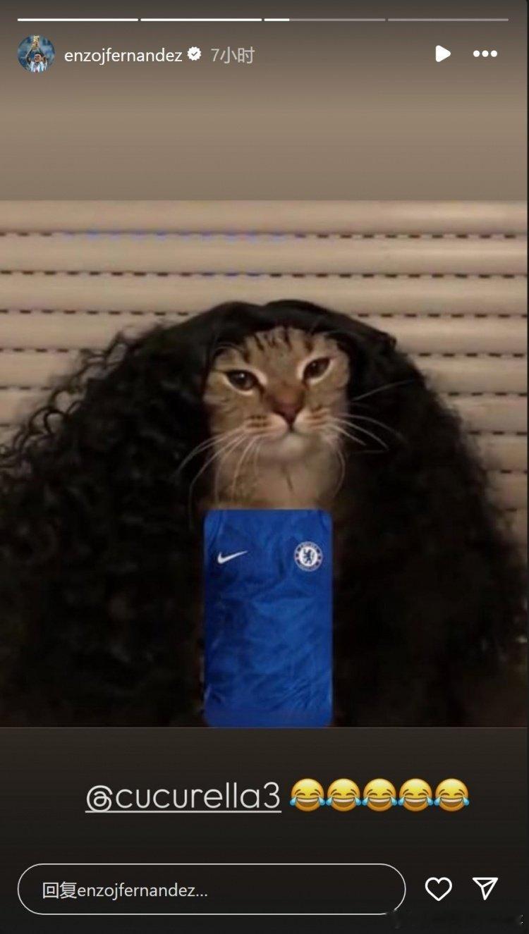 【像不像[doge]】恩佐社媒晒猫咪照片为库库雷利亚庆生🤣🤣英超联赛​​​