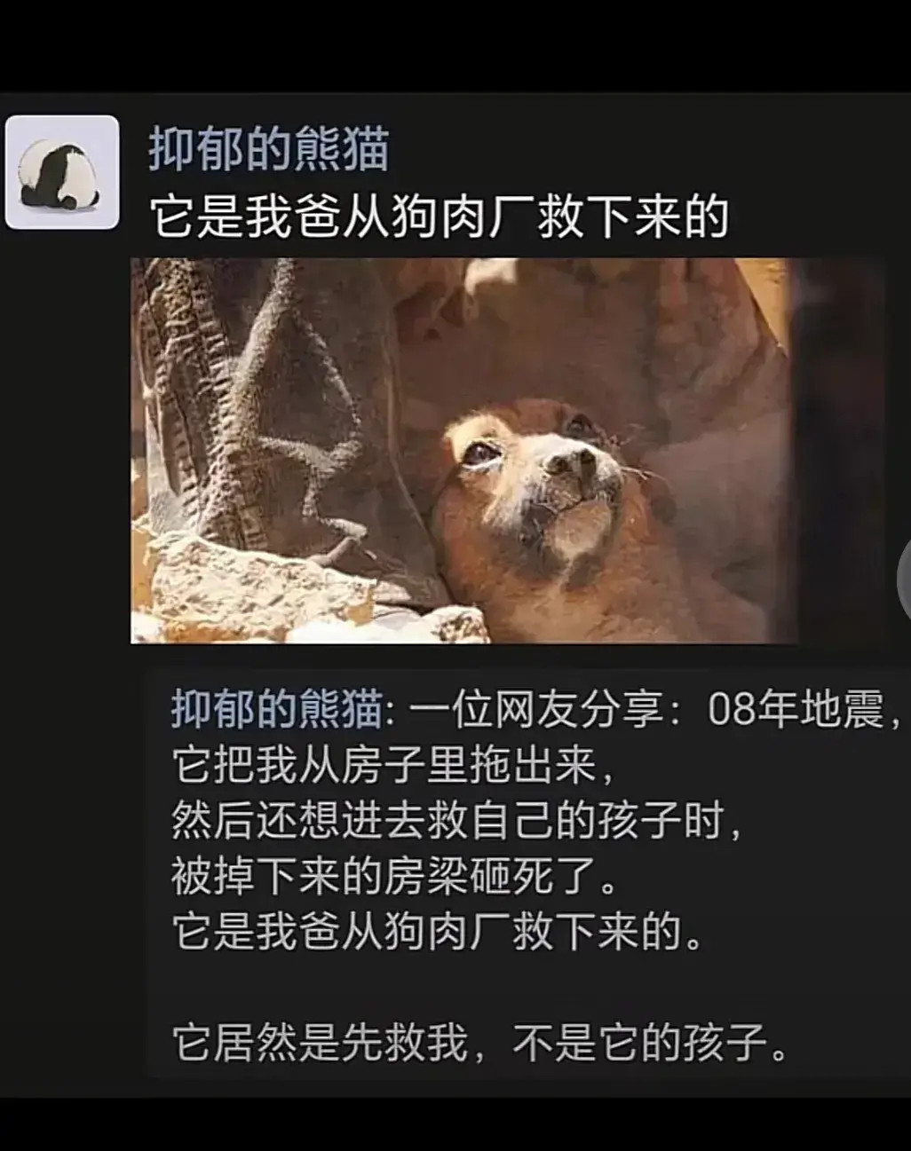 “小主人，当年主人的恩情我总没有辜负，接下来我该陪我孩子了，黄泉的路，又黑又冷，