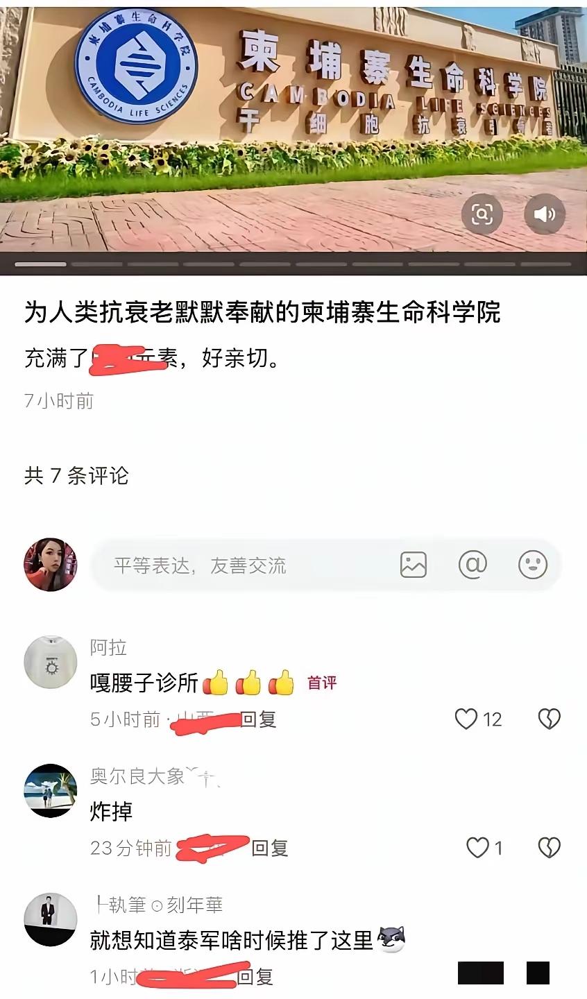 很好奇，为什么是汉字？