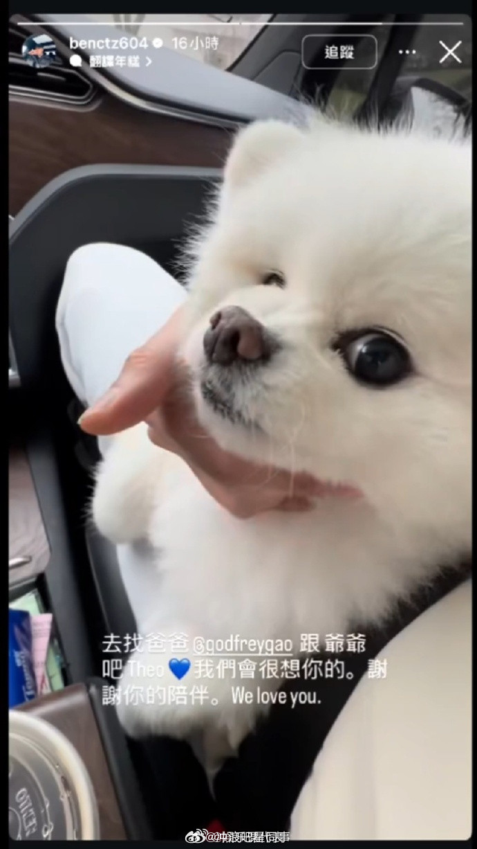 高以翔狗狗去世高以翔的狗狗去世了[哭哭]和爸爸在天堂团聚了​​​