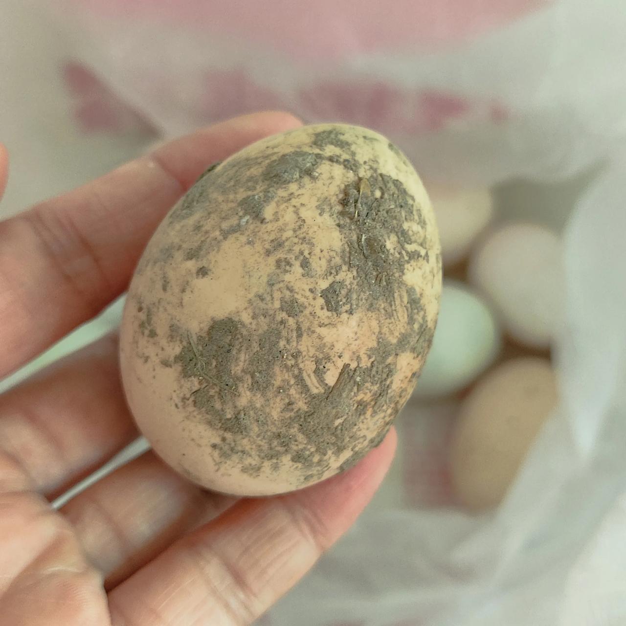 买了13个鸡蛋，花了18元，一个鸡蛋约1.4元，越脏的鸡蛋越贵……今天买了点