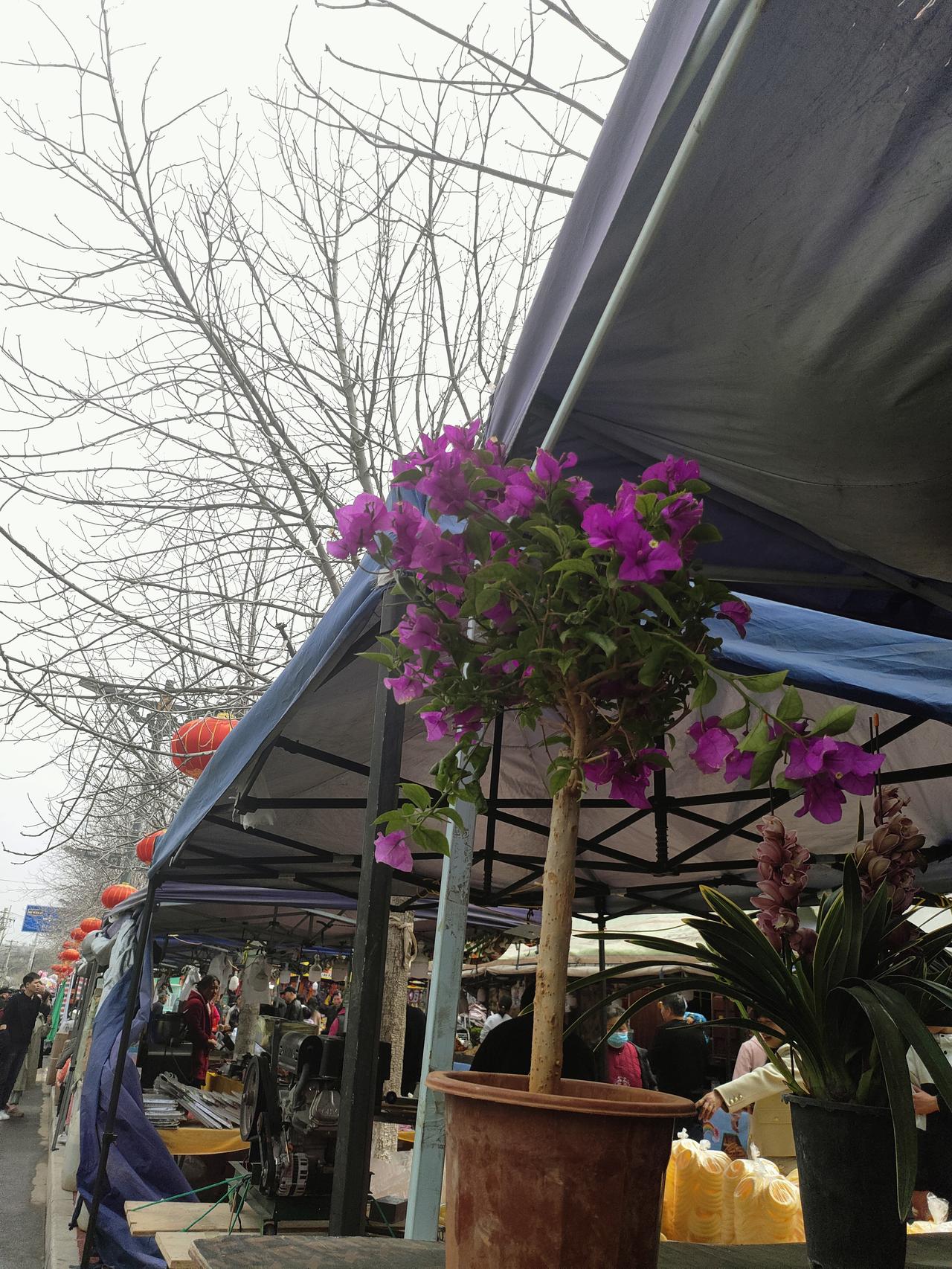 人到晚年，别瞎焦虑，活好当下比啥都强人这一辈子，前半生忙忙碌碌，为了家庭、