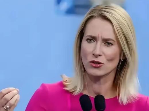 欧盟美女外长卡拉斯又闹了个国际笑话！比利时坚决不同意动用冻结的俄罗斯资产，卡拉斯