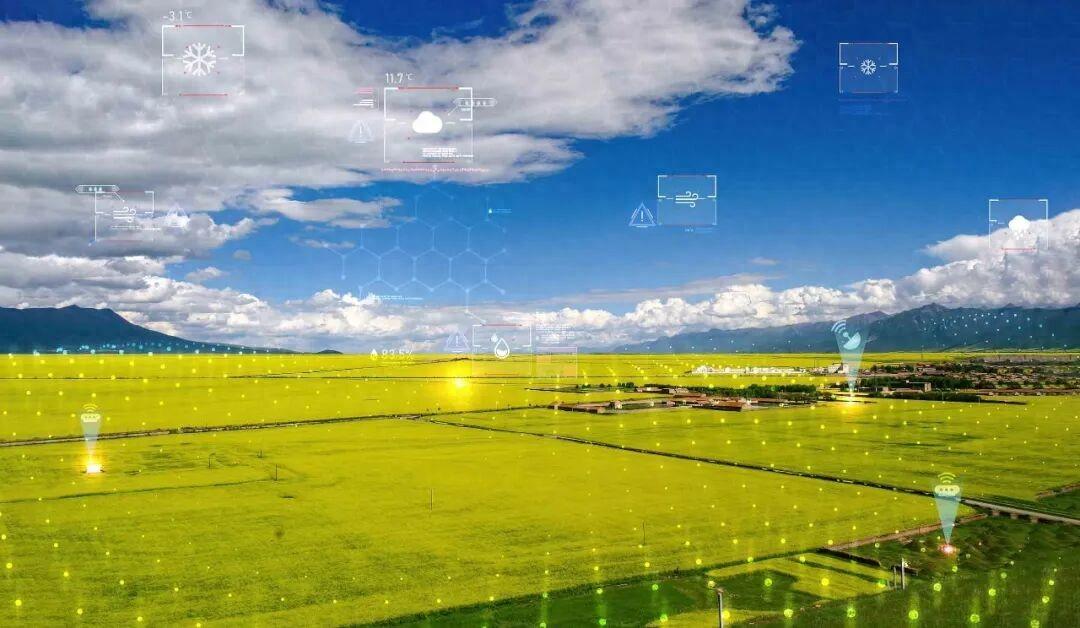 细思极恐！农田里的气象站，为啥服务器建在境外？国安部刚爆猛料，某军事