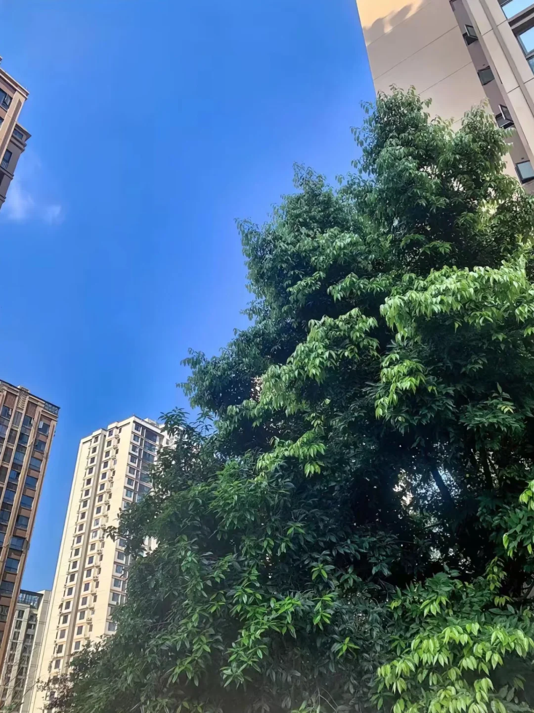 📌物业费凭什么按套内算？越想越离谱❗