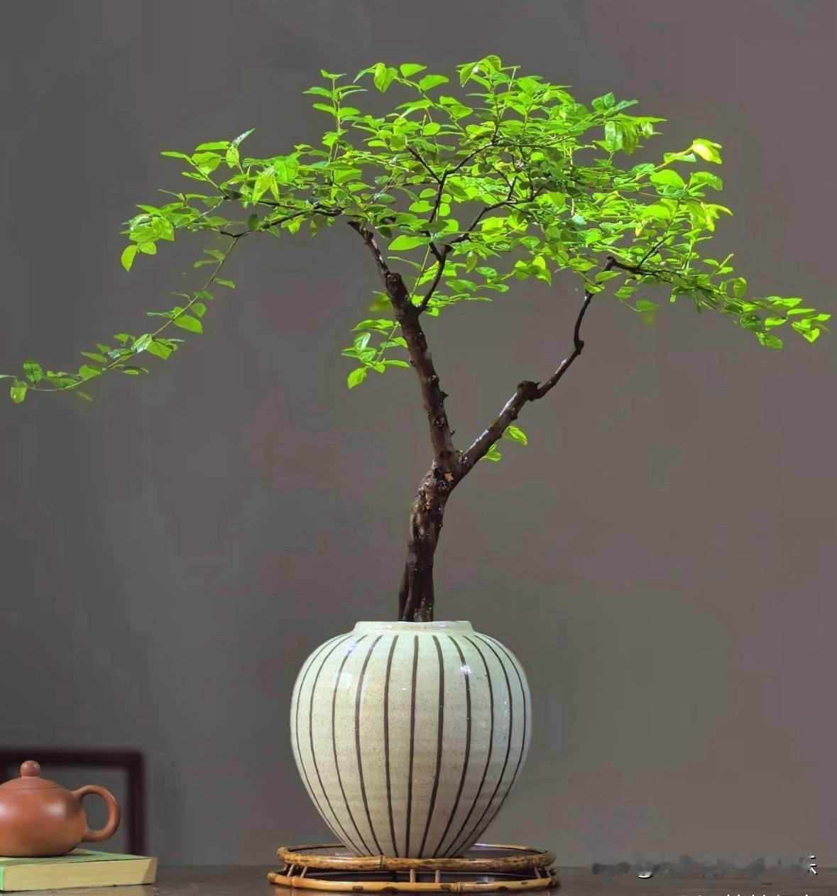 现在穷男人想要改变命运，跨越阶级，成功概率最高的事情，就是考公务员。一旦能进入