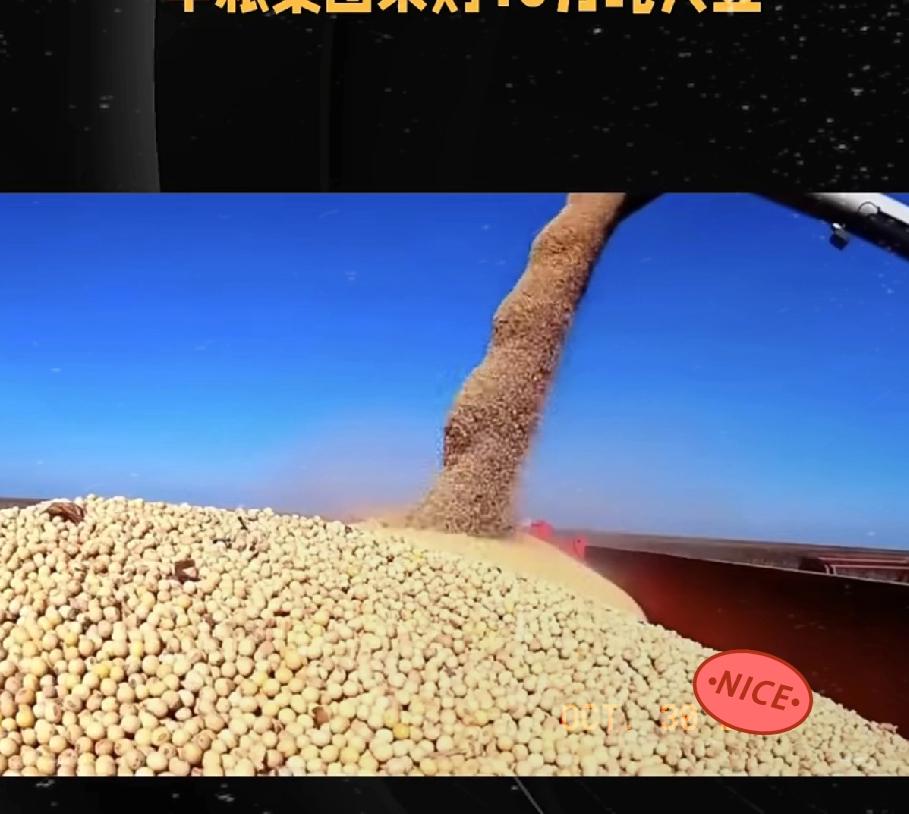 不出意外，川普终于明白，要按照中国规矩来，29号中粮集团直接宣布要买下18万