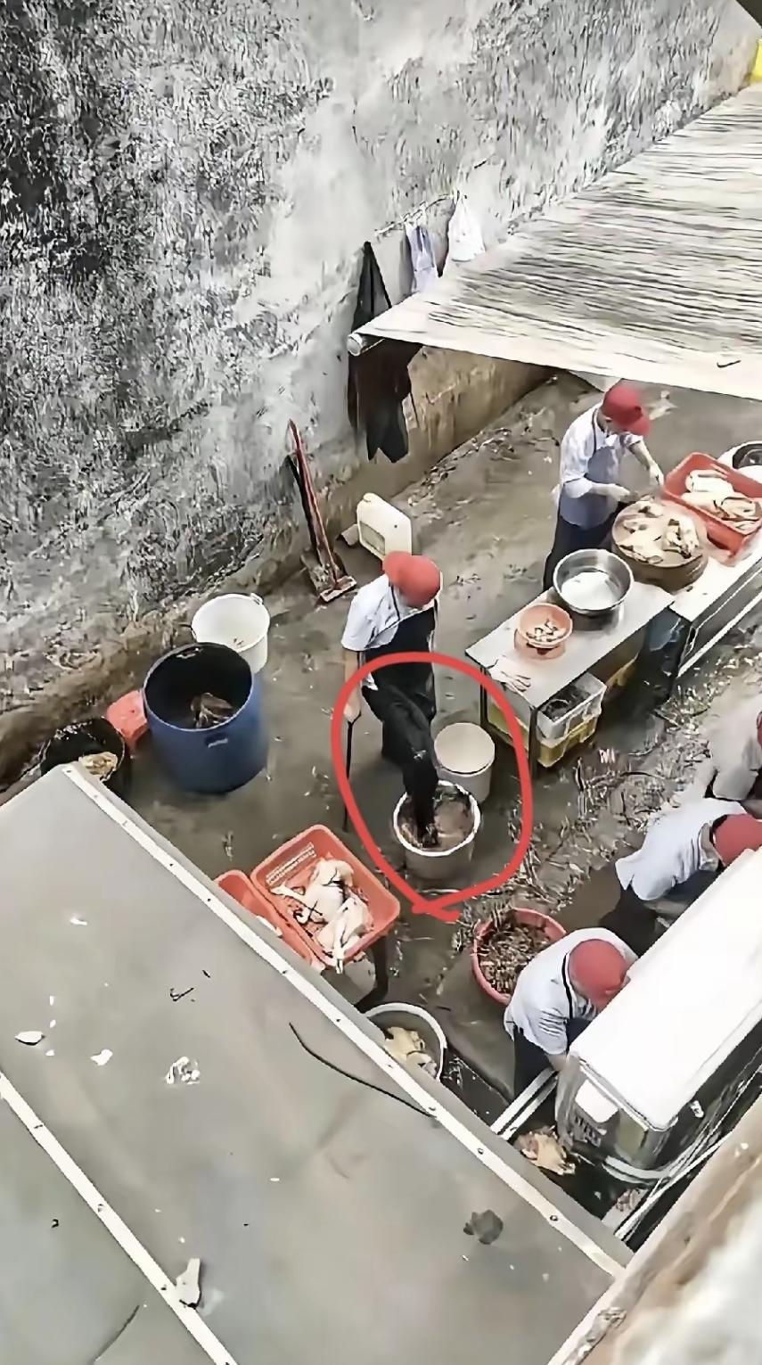 4月21号中午，莫氏鸡煲后厨水池边，莫叔儿子穿胶靴踩了下刚杀的鸡——就三秒，为把