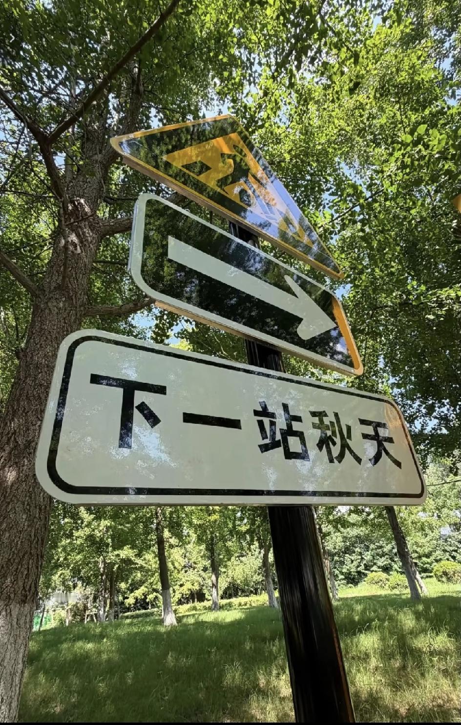 现在的儿媳妇儿，尤其是生了孩子的儿媳妇儿，脾气都挺大的。我堂姐，有一儿一女。家
