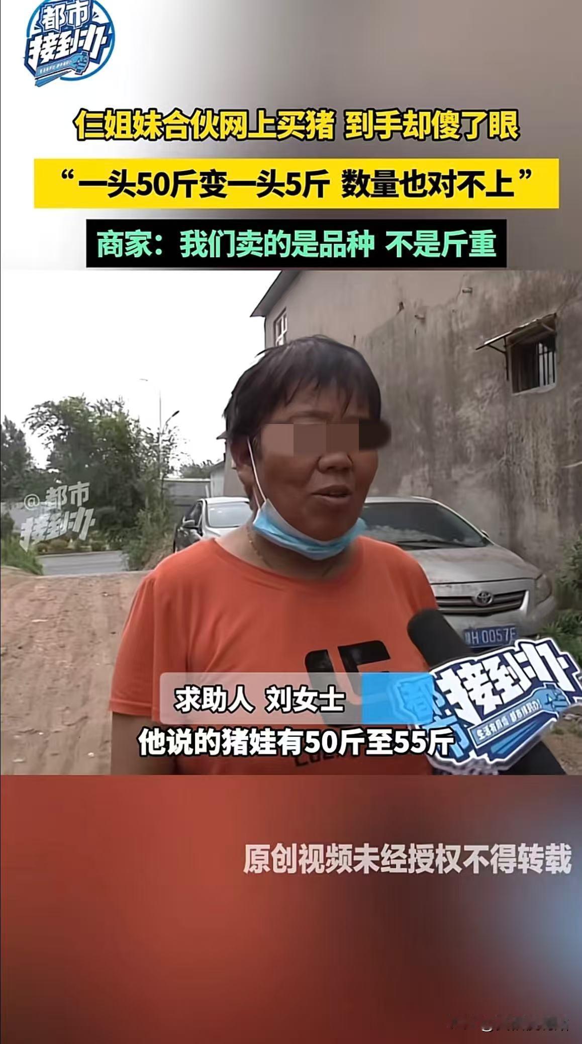 6月12日报道，河南郑州3姐妹见网上有人卖猪，卖家承诺每头50-55斤，500块