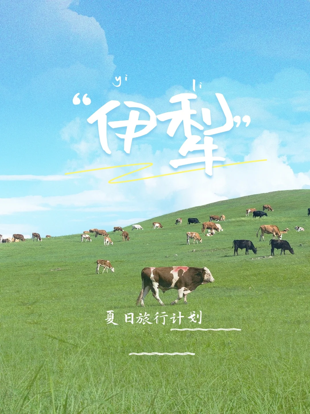 五年人像摄影师新疆旅拍带tuan啦