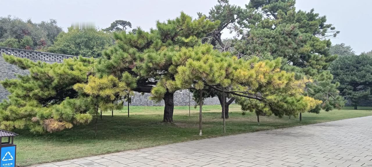 我就是搞软件的,几乎所有领域的软件都有国产替代。而且关键是软件这玩意儿它根本没