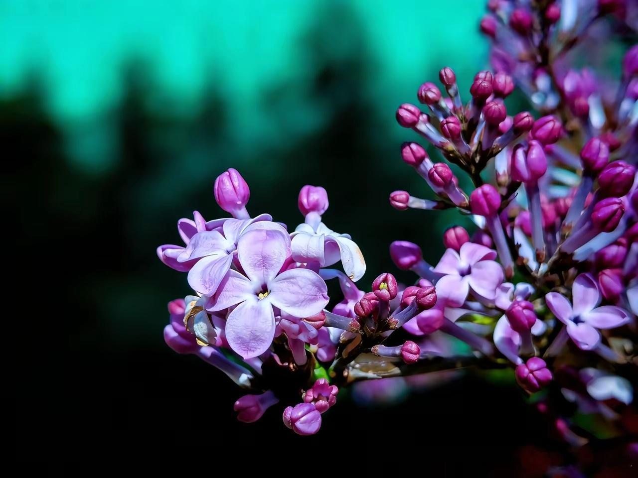 这份健脾养胃茶配方配比温和、思路很稳，日常调理脾胃非常实用健脾养胃养生茶配方炒麦