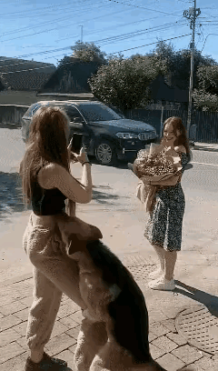 看这狗子那熟练的动作肯定是贯犯，不是第一次这样搞了，这才明白为啥男不养猫女不养狗