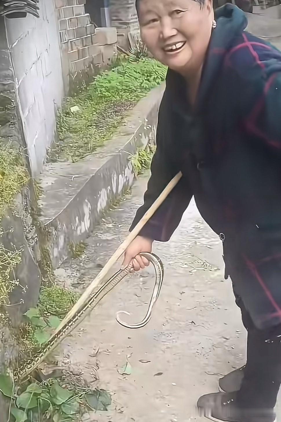 真佩服大妈的胆量，竟敢这样和蛇玩！我最怕蛇了，看的我一身冷汗！我记得堂妹