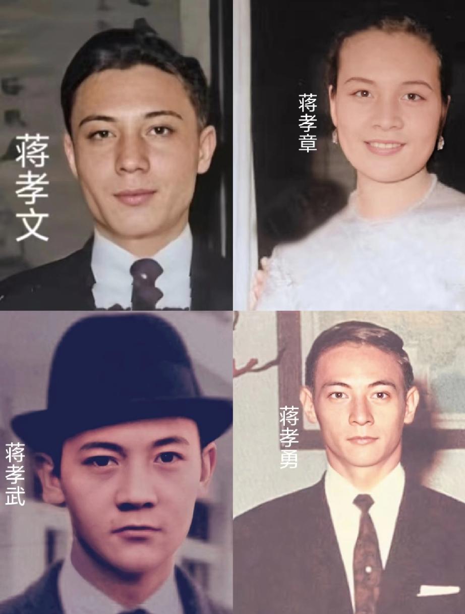 蒋经国和外国媳妇蒋方良生的的三个混血儿子个个帅的一塌糊涂，也个个平淡无奇，尤其长